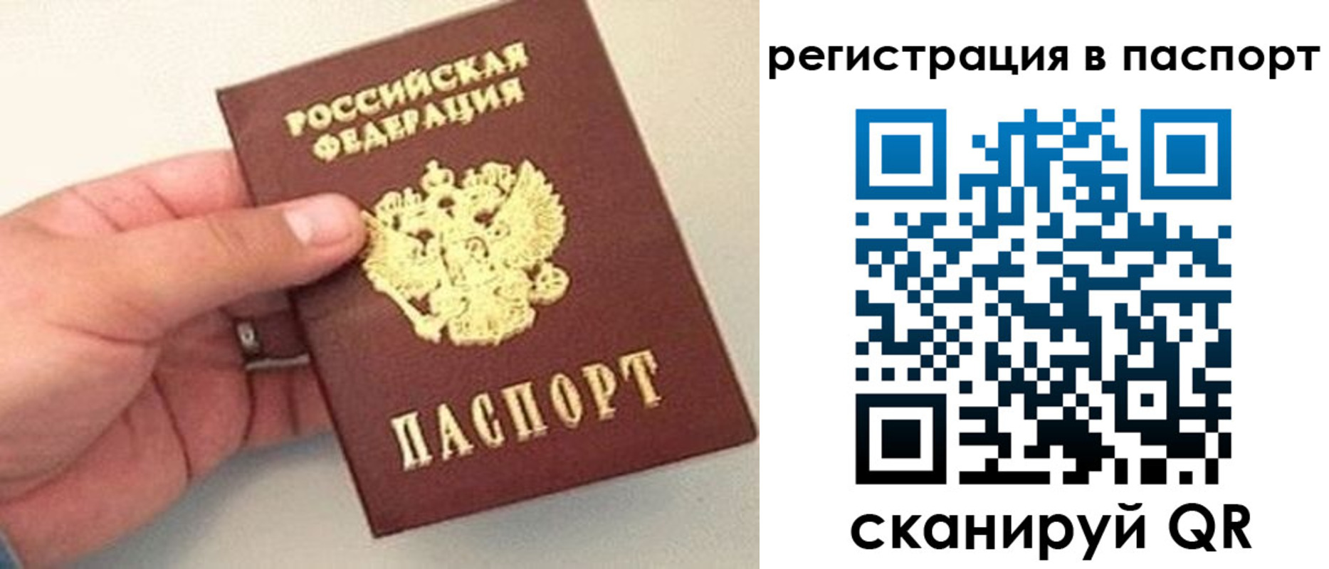 прописка законно в Сафоново